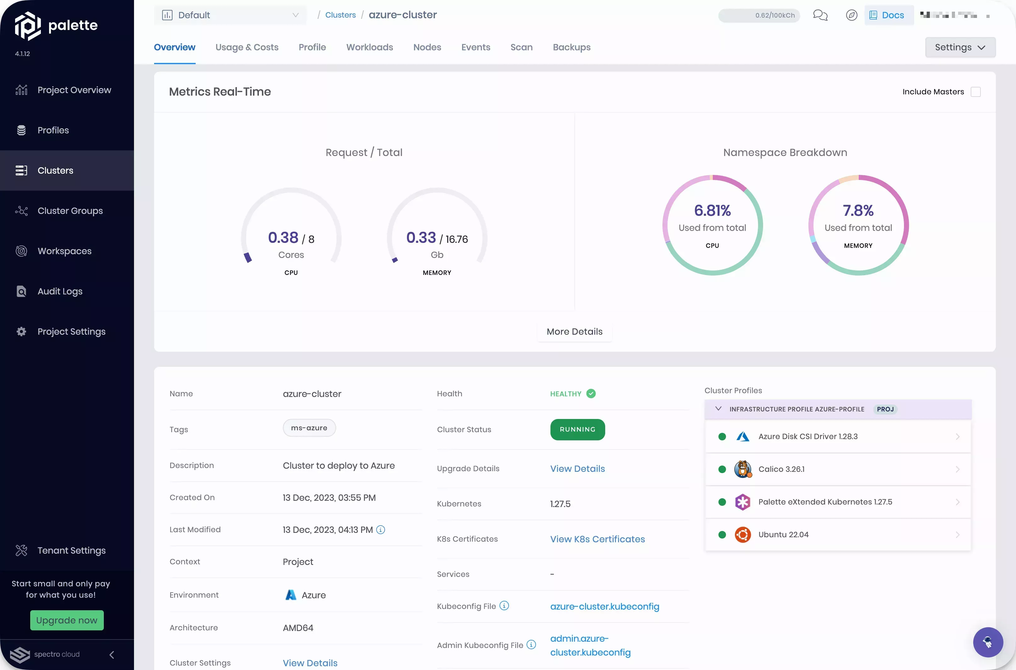 View of the cluster details page